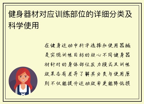 健身器材对应训练部位的详细分类及科学使用